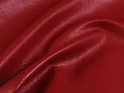 Pegas (red)