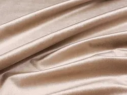 Bogemia (camel)